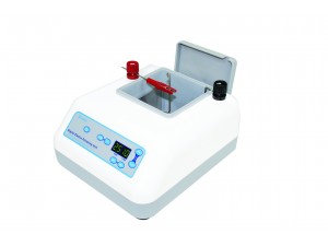 Polishing unit