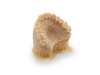 Dental Model Beige 1 kg
