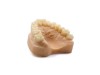 Dental Model Beige 1 kg