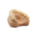 Dental Model Beige 1 kg