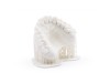 Dental Model Bone 1 kg