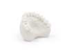 Dental Model Bone 1 kg