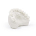 Dental Model Bone 0.5 kg