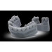 Dental Model Light Grey 0.5 kg