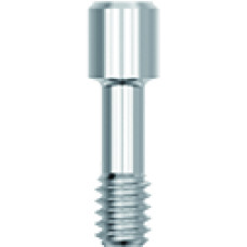 MSW Screw