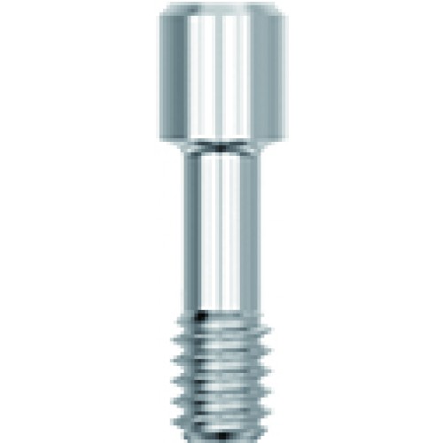 MSW Screw