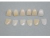 Colorant zirconiu XTCERA 30 ml