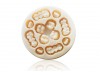 Disc SHT precolorat C1 98x12mm