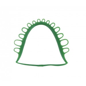 Ceara scheletata (retention large)