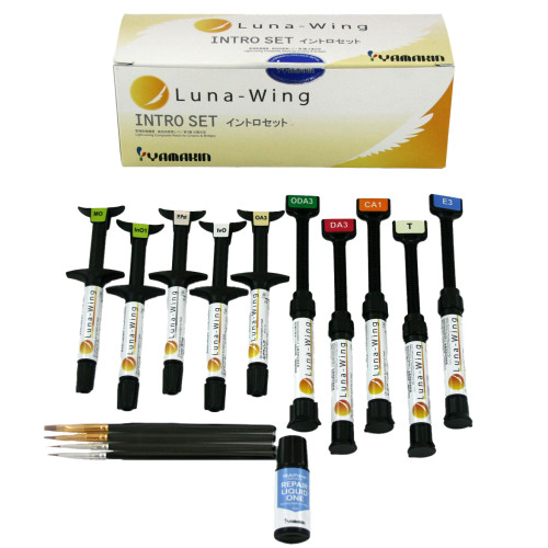 INTRO SET A2 HS E-T HARD Luna Wing