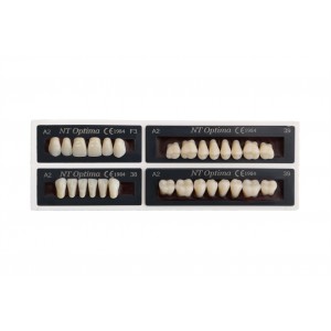 Dinti acrilat B1 NT OPTIMA