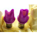 Contact paste zirconia and press ceramic 3g